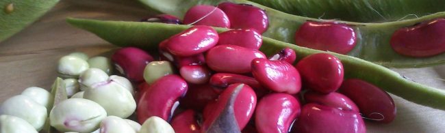 Gesunde rote und grüne Bohnen, reich an Proteinen und Ballaststoffen, ideal für Fitness-Mahlzeiten.