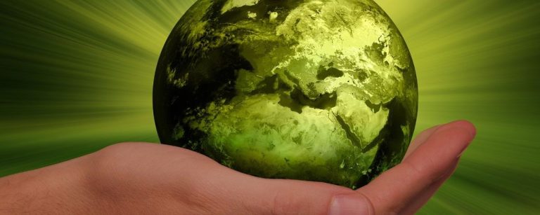 Grüner Planet in menschlicher Hand. Nachhaltigkeit, Gesundheit und Fitness für eine bessere Welt.