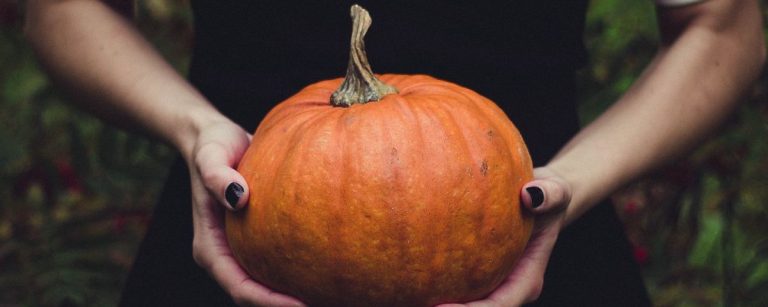 Person hält Kürbis, Herbstliche Inspiration für gesunde Ernährung und Fitness-Rezepte.