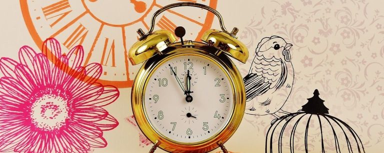 Wecker neben einer Blume und einem Vogel, Symbol für Fitness und Wohlbefinden.