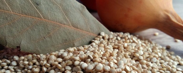 Quinoa-Samen und Lorbeerblatt für gesunde Ernährung. Ideal für Fitness und Sportler.