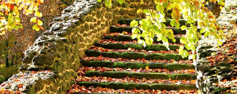 Herbstliche Steintreppe bedeckt mit Blättern und Moos, inspiriert von der Natur für gesunde Ernährung.