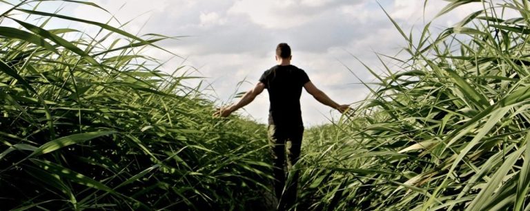 Mann in schwarzem Shirt und Hose läuft durch hohes Gras und streckt die Arme aus.