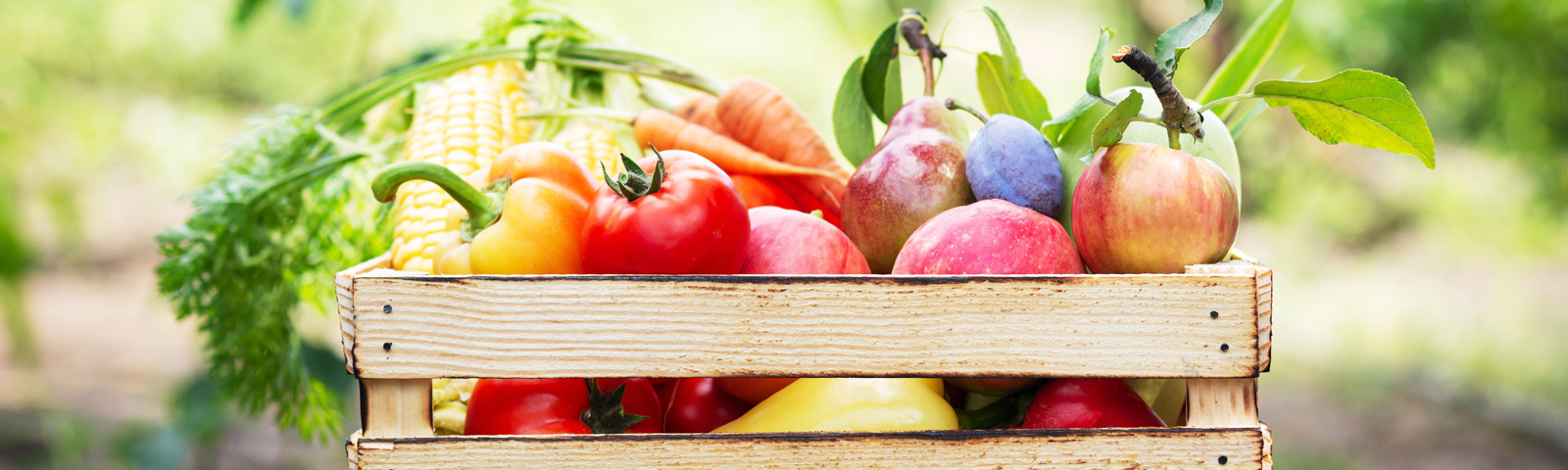 Assorted organic produce like strawberries, spinach, peppers and kale beside conventional options such as avocados and onions, illustrating what to buy organic.